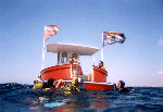 thm_brc1.gif (11635 byte)